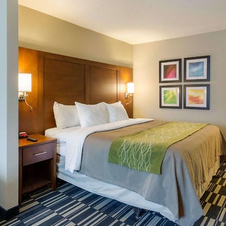 Quality Inn & Suites Ashland Near Kings Dominion Eksteriør bilde